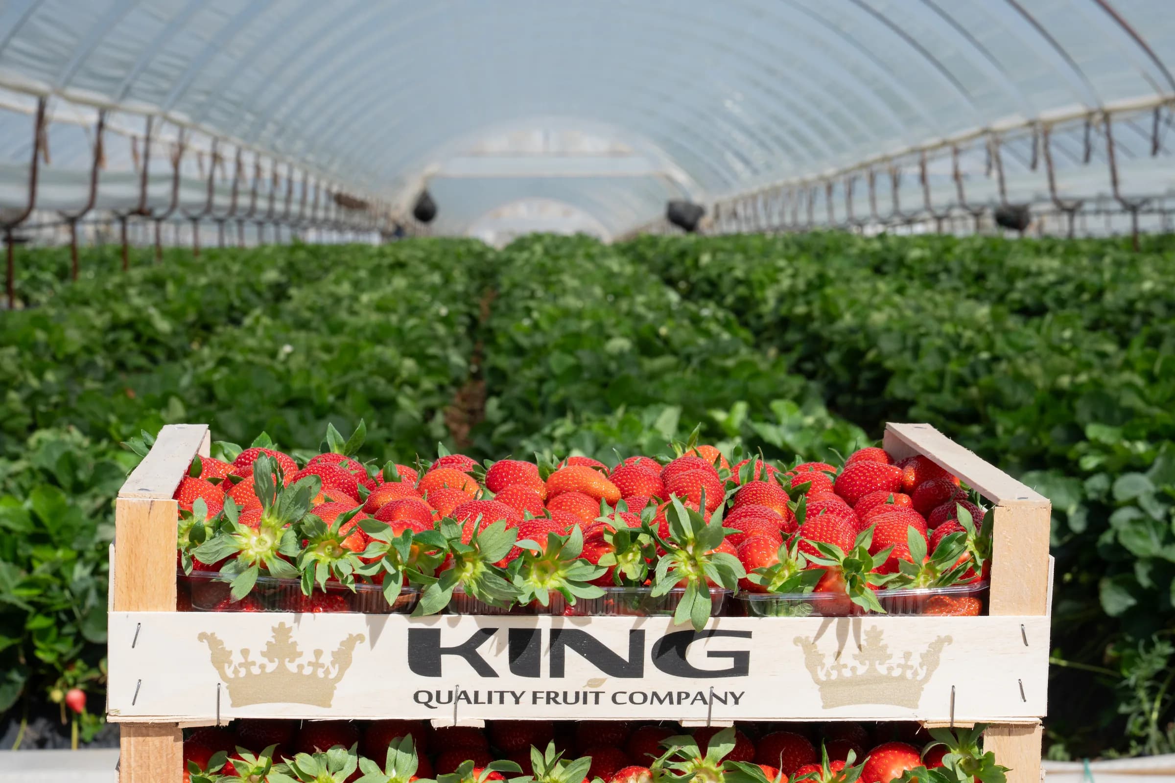 banner-image